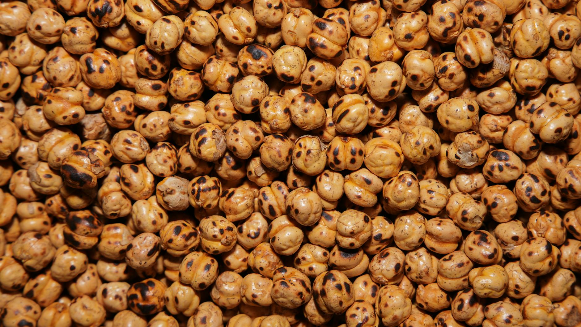 Dried Legumes