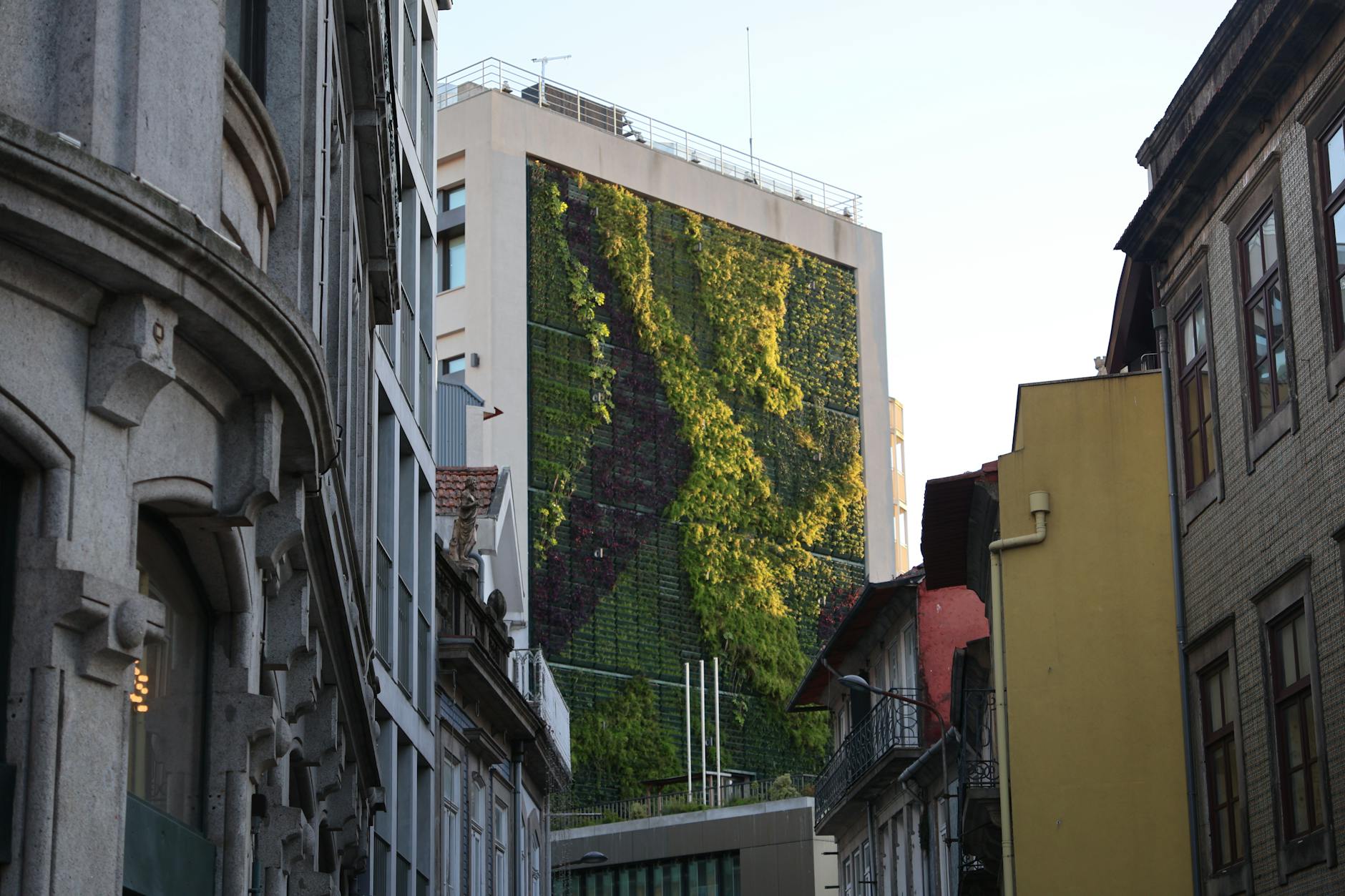 Environmental Design