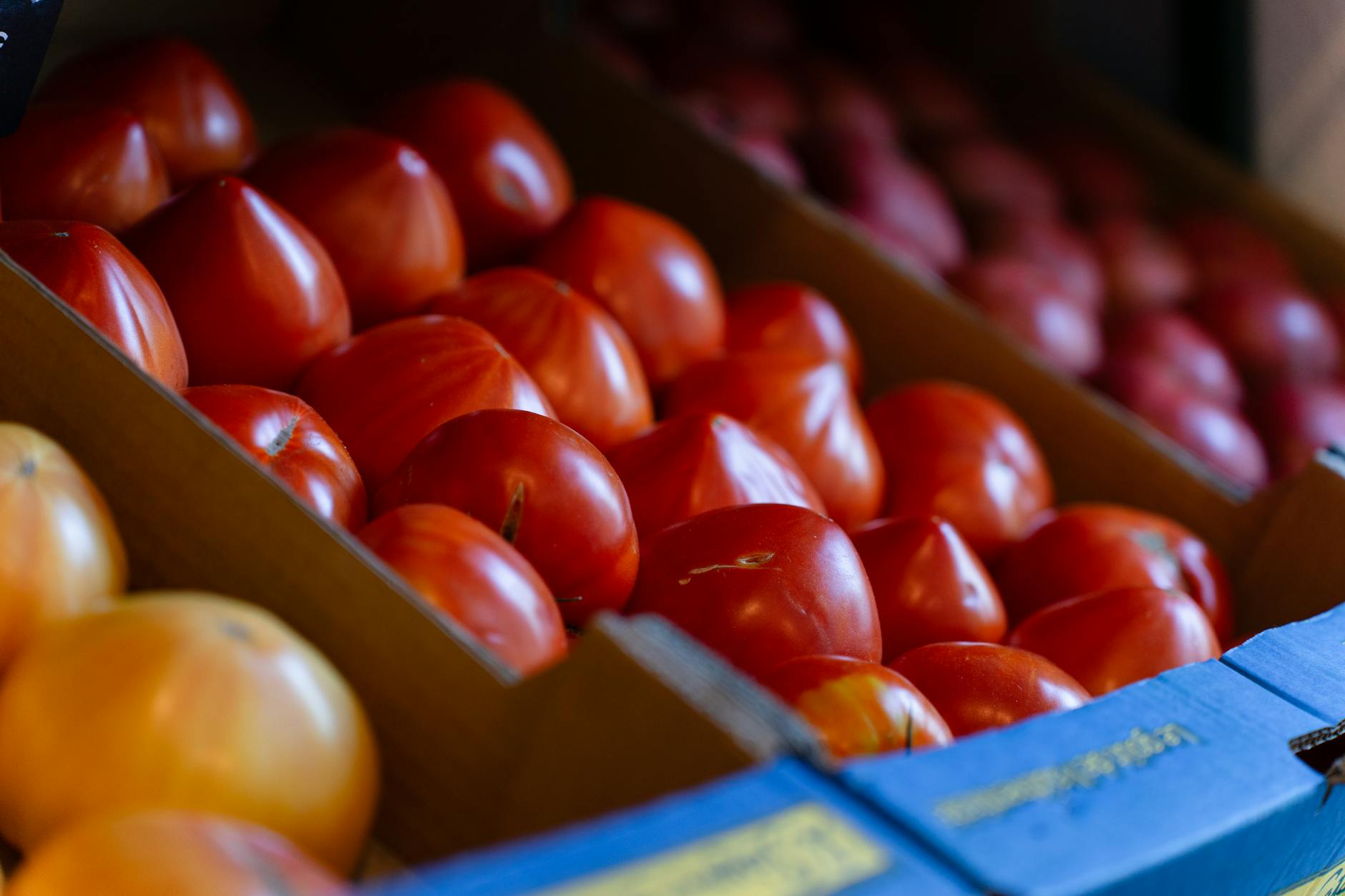 Superfood Grocery Store