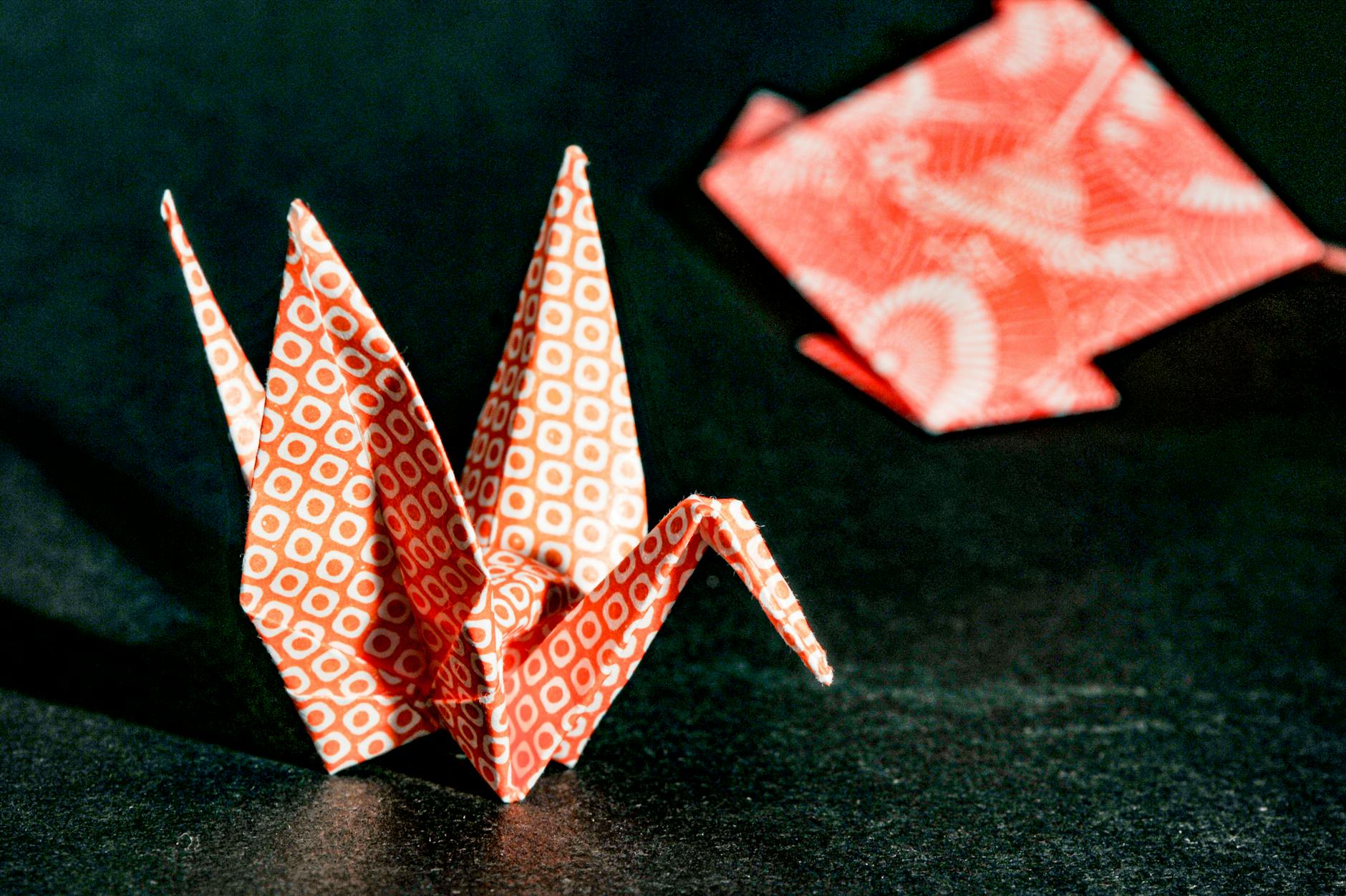 Origami Practice